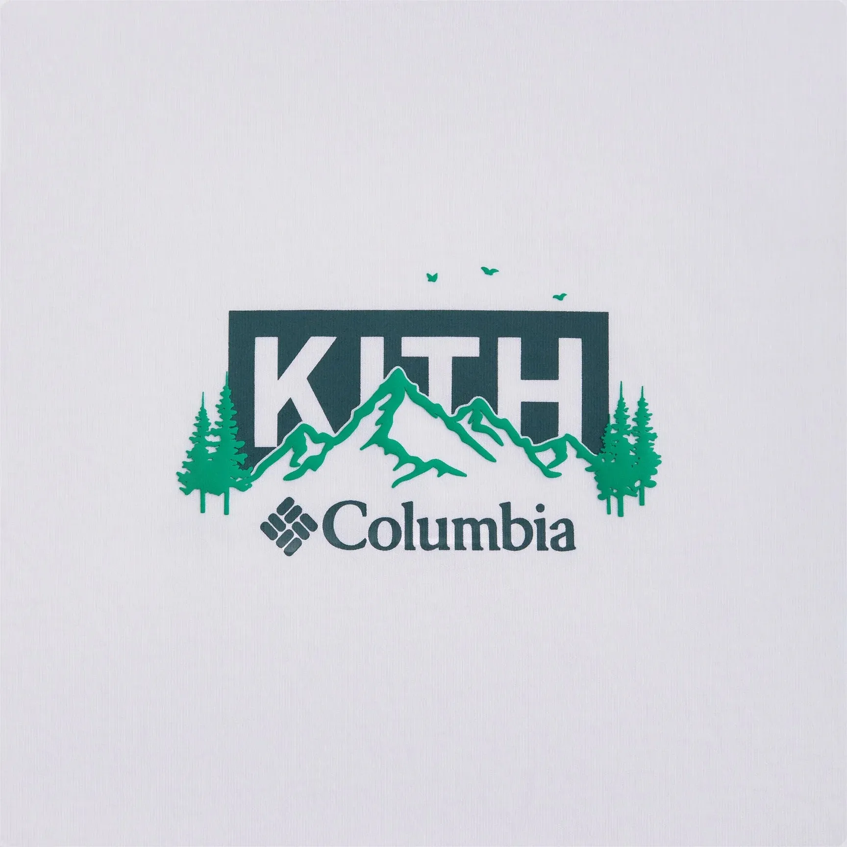 Kith x Columbia Landscape Classic Logo Tee Stadium